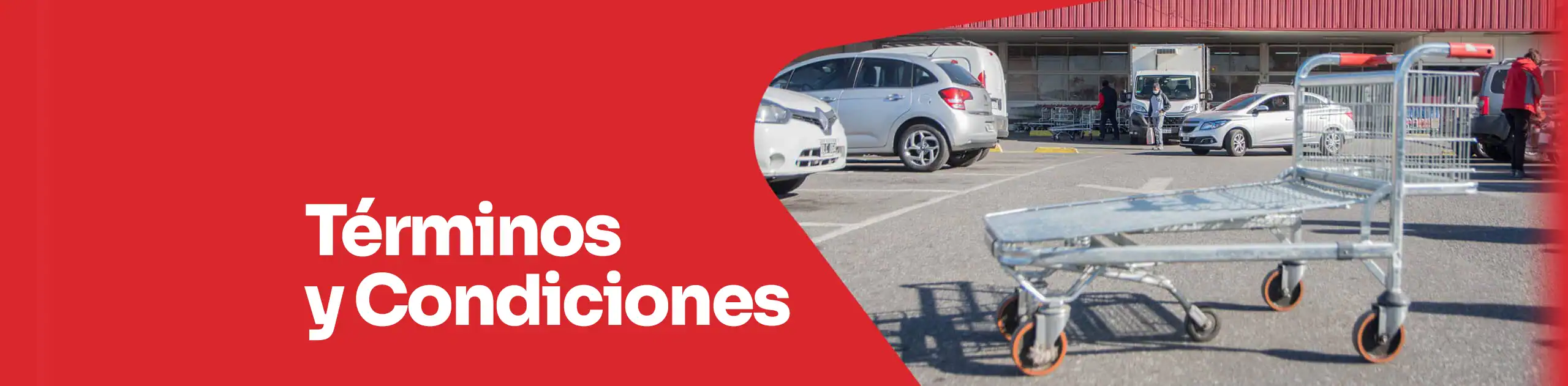 Términos y condiciones