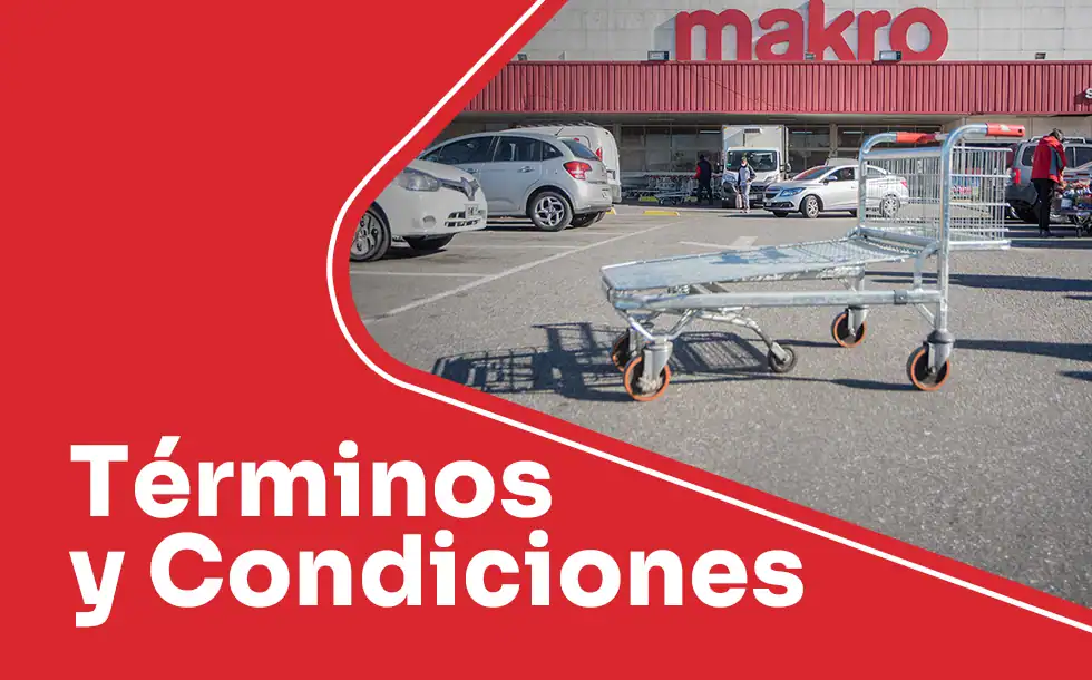 Términos y condiciones